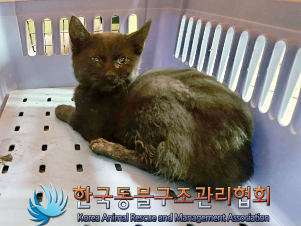 종료(자연사) 한국…